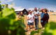 Tasmanian Wine Tour - thumb 4