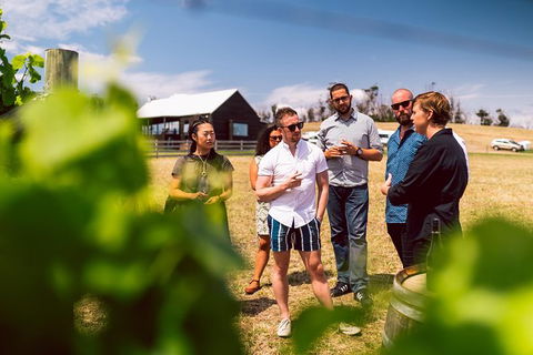Tasmanian Wine Tour - Northern Rivers Accommodation 4