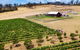 Tasmanian Wine Tour - thumb 7
