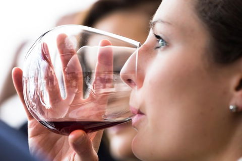 Tasmanian Wine Tour - Northern Rivers Accommodation 1