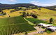 Tasmanian Wine Tour - thumb 11