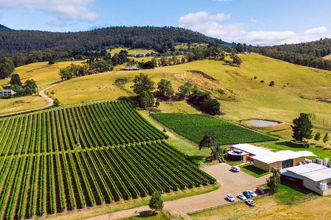 Tasmanian Wine Tour - Northern Rivers Accommodation 11