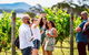 Tasmanian Wine Tour - thumb 3