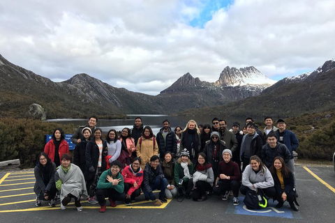 Shore Excursion - Cradle Mountain Day Tour From Burnie - Northern Rivers Accommodation 4