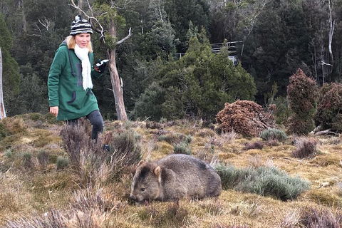 Shore Excursion - Cradle Mountain Day Tour From Burnie - Northern Rivers Accommodation 1