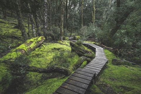 Shore Excursion - Cradle Mountain Day Tour From Burnie - Northern Rivers Accommodation 2