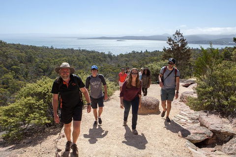 Wineglass Bay Beach Hike - Northern Rivers Accommodation 17