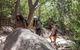 Wineglass Bay Beach Hike - thumb 14