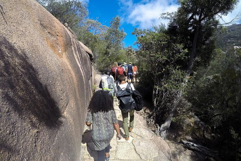 Wineglass Bay Beach Hike - Northern Rivers Accommodation 12
