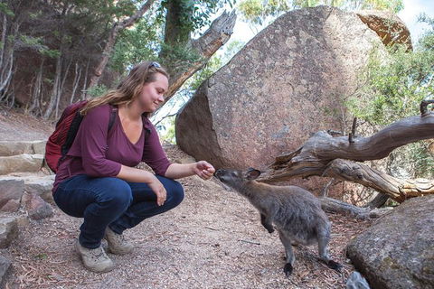 Wineglass Bay Beach Hike - Northern Rivers Accommodation 25