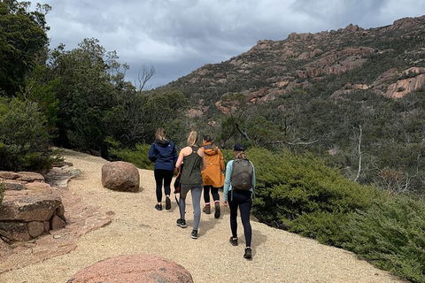 Wineglass Bay Beach Hike - Northern Rivers Accommodation 26