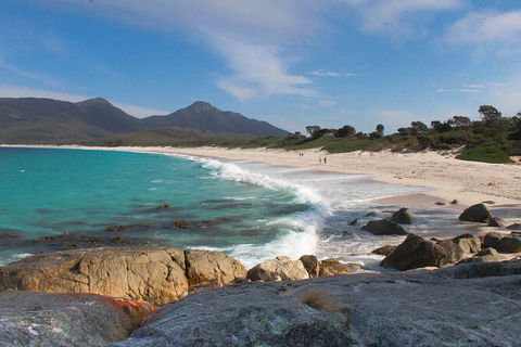 Wineglass Bay Beach Hike - Northern Rivers Accommodation 20