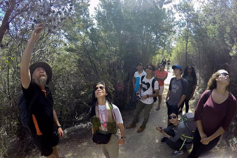 Wineglass Bay Beach Hike - Northern Rivers Accommodation 9