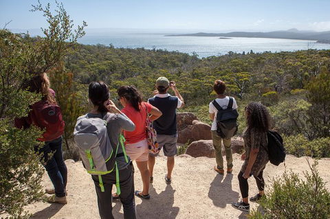 Wineglass Bay Beach Hike - Northern Rivers Accommodation 7
