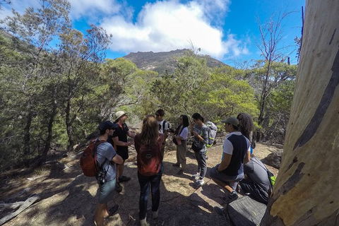 Wineglass Bay Beach Hike - Northern Rivers Accommodation 3