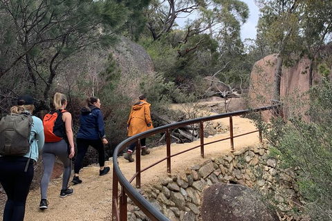 Wineglass Bay Beach Hike - Northern Rivers Accommodation 13