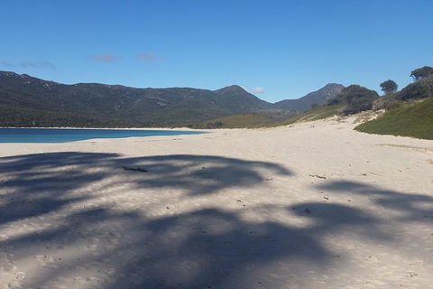 Wineglass Bay Beach Hike - Northern Rivers Accommodation 23