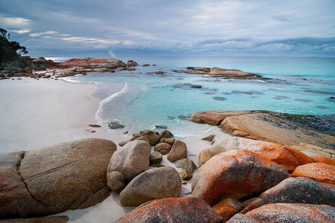 Wineglass Bay Private Charter Service - Northern Rivers Accommodation 0