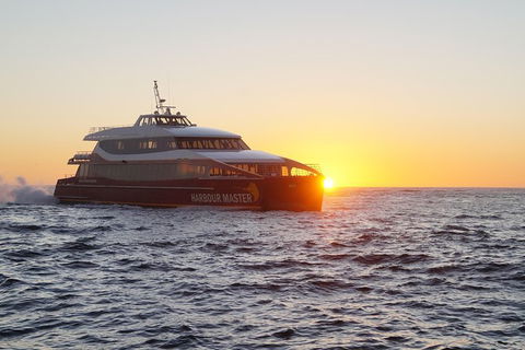 Afternoon Gordon River Dinner Cruise - Departing 3pm - Northern Rivers Accommodation 0
