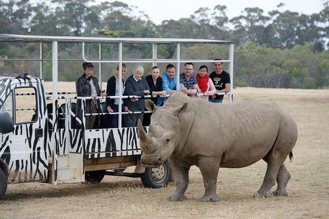 Off-Road Safari At Werribee Open Range Zoo - Northern Rivers Accommodation 0