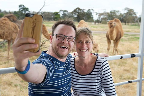 Off-Road Safari At Werribee Open Range Zoo - Northern Rivers Accommodation 5