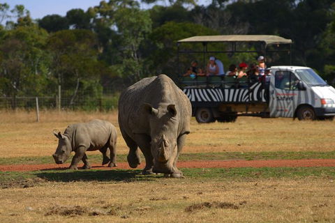Off-Road Safari At Werribee Open Range Zoo - Northern Rivers Accommodation 1