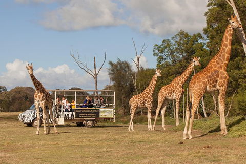 Off-Road Safari At Werribee Open Range Zoo - Northern Rivers Accommodation 3