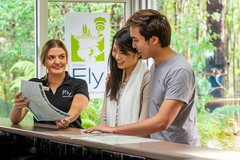 Otway Fly Treetop Adventures Treetop Walk Admission Ticket - Northern Rivers Accommodation 1