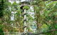 Otway Fly Treetop Adventures Treetop Walk Admission Ticket - thumb 3