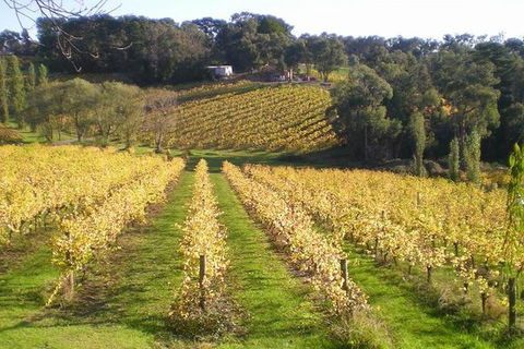 Macedon Ranges Winery Tour From Melbourne - Northern Rivers Accommodation 1