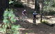 Not So Flat Stanley - Half Day Beechworth Gravel Cycling Tour - thumb 2