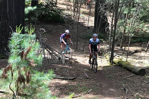 Not So Flat Stanley - Half Day Beechworth Gravel Cycling Tour - Northern Rivers Accommodation 2