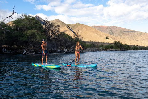 Stand Up Paddle Boarding Hire - Northern Rivers Accommodation 2