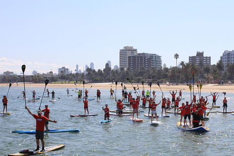 Stand Up Paddle Boarding Hire - Northern Rivers Accommodation 5