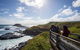 Full-Day Bus Tour Phillip Island Wildlife And Brighton Beach - thumb 0