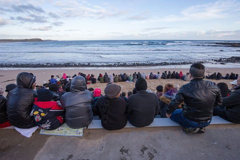 Full-Day Bus Tour Phillip Island Wildlife And Brighton Beach - Northern Rivers Accommodation 7