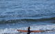 Full-Day Bus Tour Phillip Island Wildlife And Brighton Beach - thumb 8