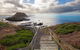Full-Day Bus Tour Phillip Island Wildlife And Brighton Beach - thumb 5