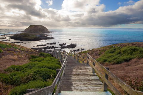 Full-Day Bus Tour Phillip Island Wildlife And Brighton Beach - Northern Rivers Accommodation 5
