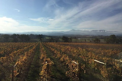 Tour 1 - Full Day, Wine Tasting Plus Lunch. - Northern Rivers Accommodation 2