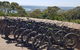 Fully Guided E-Mountain Bike Tour On The Beautiful Mornington Peninsula. - thumb 1