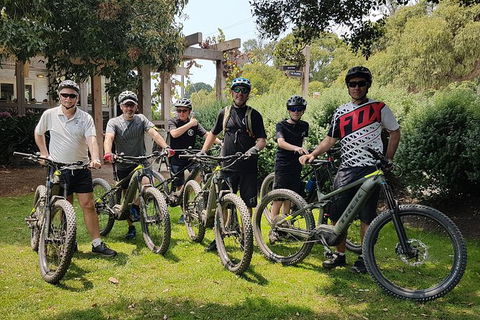 Fully Guided E-Mountain Bike Tour On The Beautiful Mornington Peninsula. - Northern Rivers Accommodation 3