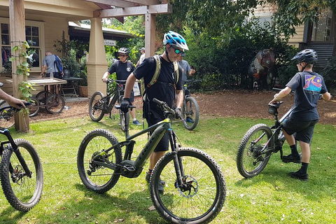 Fully Guided E-Mountain Bike Tour On The Beautiful Mornington Peninsula. - Northern Rivers Accommodation 2