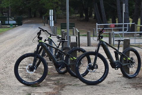 Fully Guided E-Mountain Bike Tour On The Beautiful Mornington Peninsula. - Northern Rivers Accommodation 5