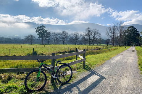 Aqueduct And Rail Trail Self-Guided Bike Tour In Warburton - Northern Rivers Accommodation 5