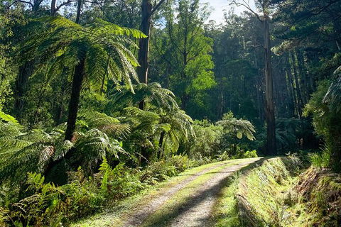 Aqueduct And Rail Trail Self-Guided Bike Tour In Warburton - Northern Rivers Accommodation 3