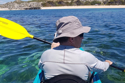 Rottnest Glass Bottom Kayaking Tour - Northern Rivers Accommodation 1