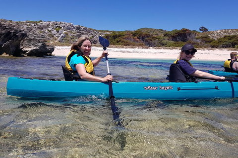 Rottnest Glass Bottom Kayaking Tour - Northern Rivers Accommodation 2
