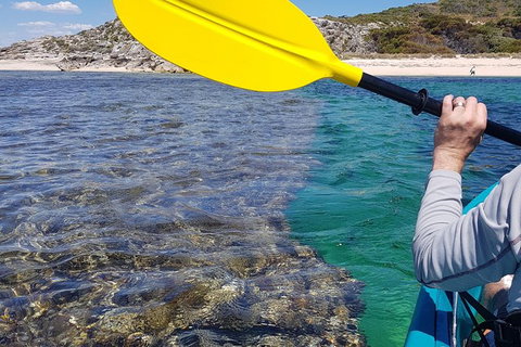 Rottnest Glass Bottom Kayaking Tour - Northern Rivers Accommodation 3