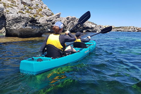 Rottnest Glass Bottom Kayaking Tour - Northern Rivers Accommodation 4
